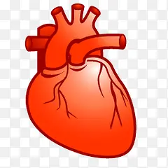 �ֻ�����-������