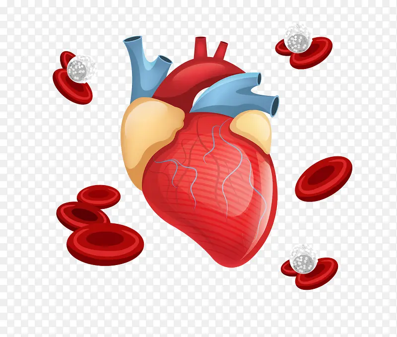 ʸ�������ز�-������