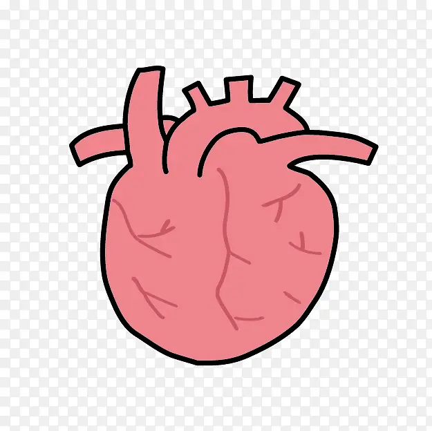 ��ͨ����-������