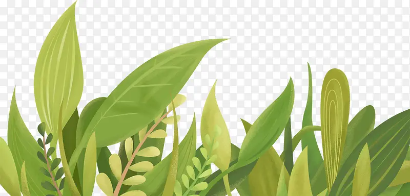 С���´���Ȼ��ɫ��ҶС��-������