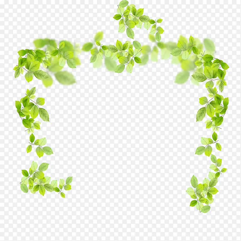 ��Ҷ�߿�-������