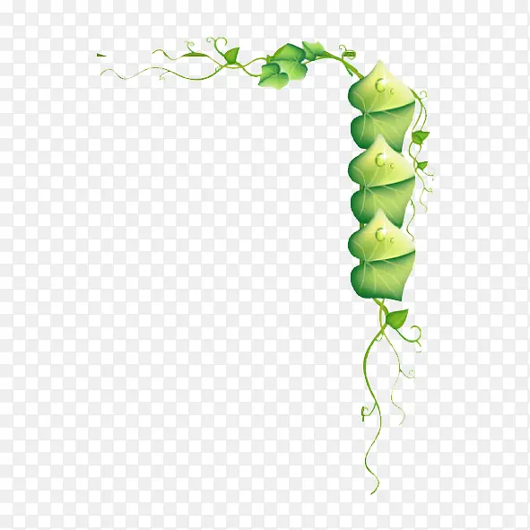 �߿�-������