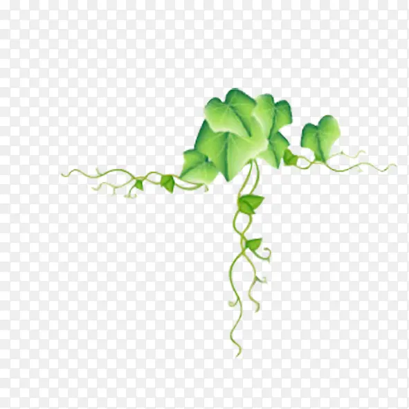 �߿�-������