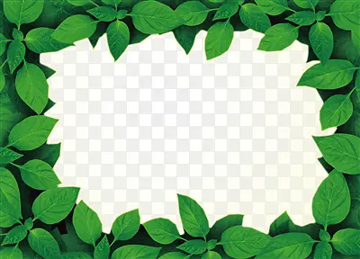 ������Ҷ�߿�����ز�-������