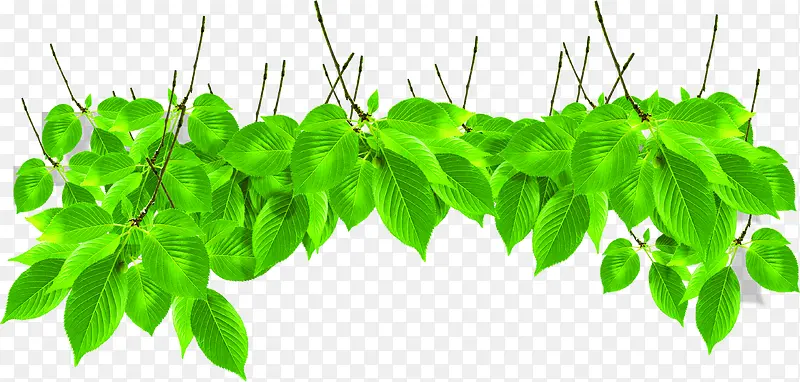 ��ɫʱ��������Ҷװ��-������