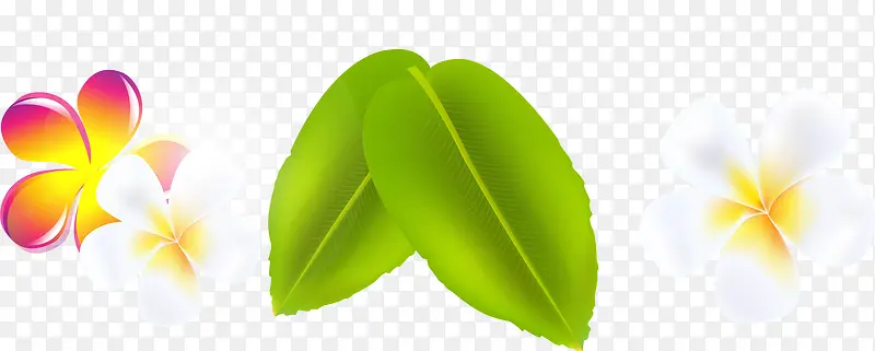 ����ʱ�л�����Ҷ-������