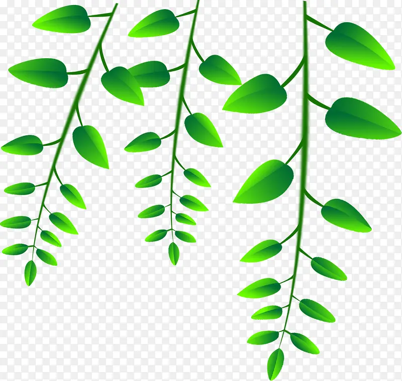 ��ɫ���¿�ͨʱ����Ҷ-������