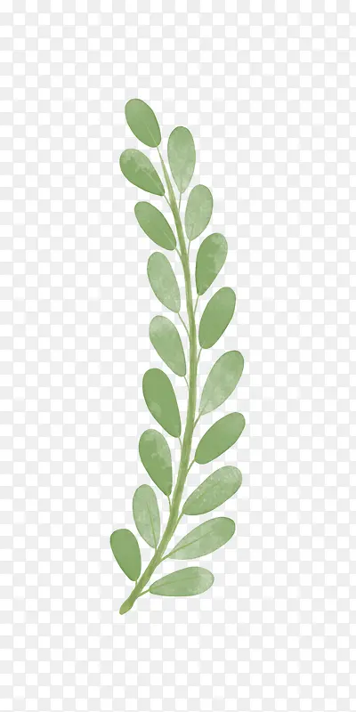 ��֦-������