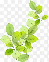 ���������ֻ���Ҷ��֦װ��-������