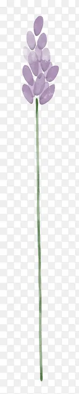 ޹�²�-������