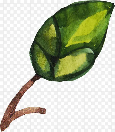 �ֻ�����ˮ����Ҷ-������