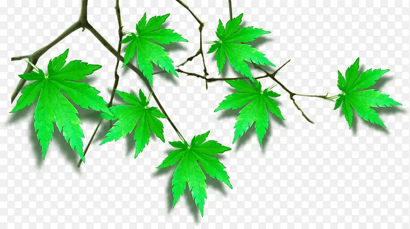 ��ɫ������Ҷ��֦װ��-������