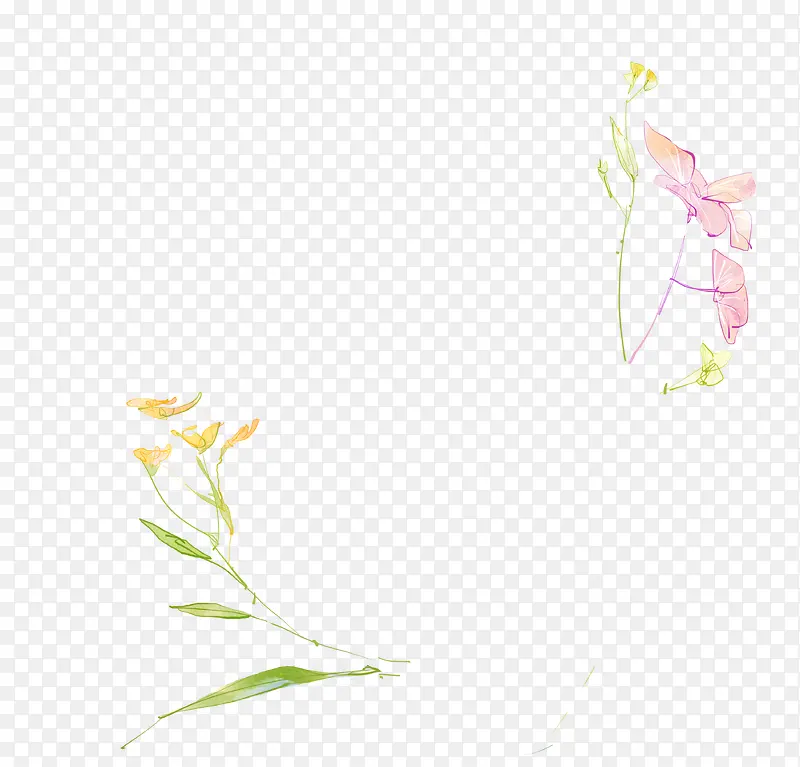 �ֻ�������Ҷ����-������