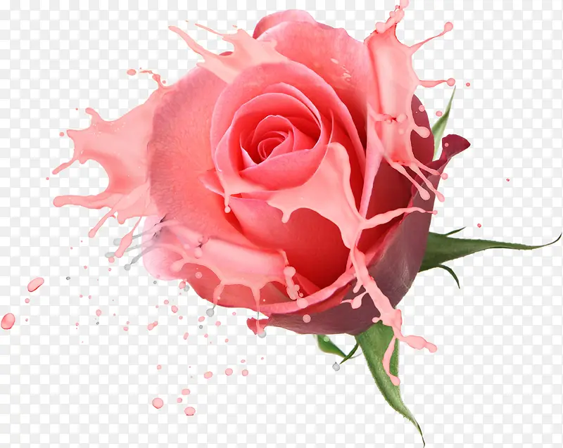 �������-������