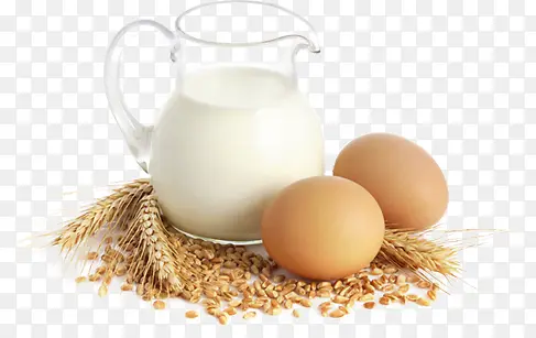 ʳ��-������