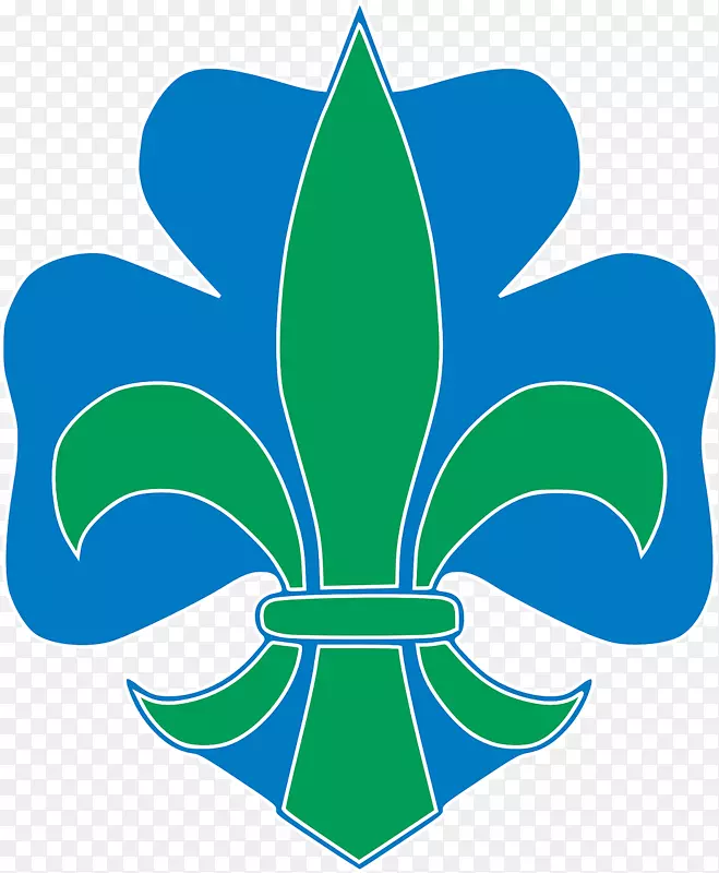 ����ͼ������nelumbo nucifera������-ܽ��-������