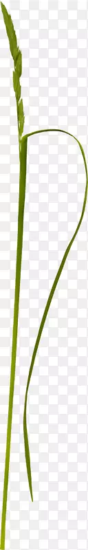 ����ͼ��ݼ������̲�-������