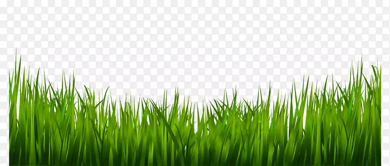 ������-�̲�-������