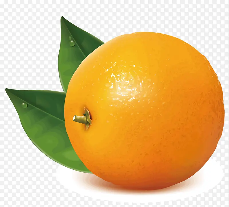 ��ɫ�ĳ���-������