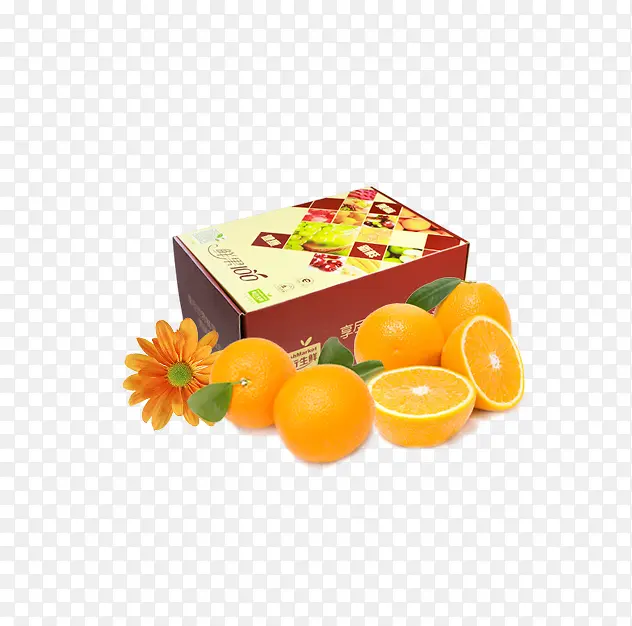 ����-������