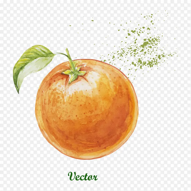 ˮ�ʳ���-������