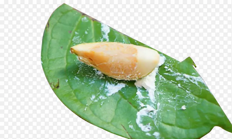 �п�������-������