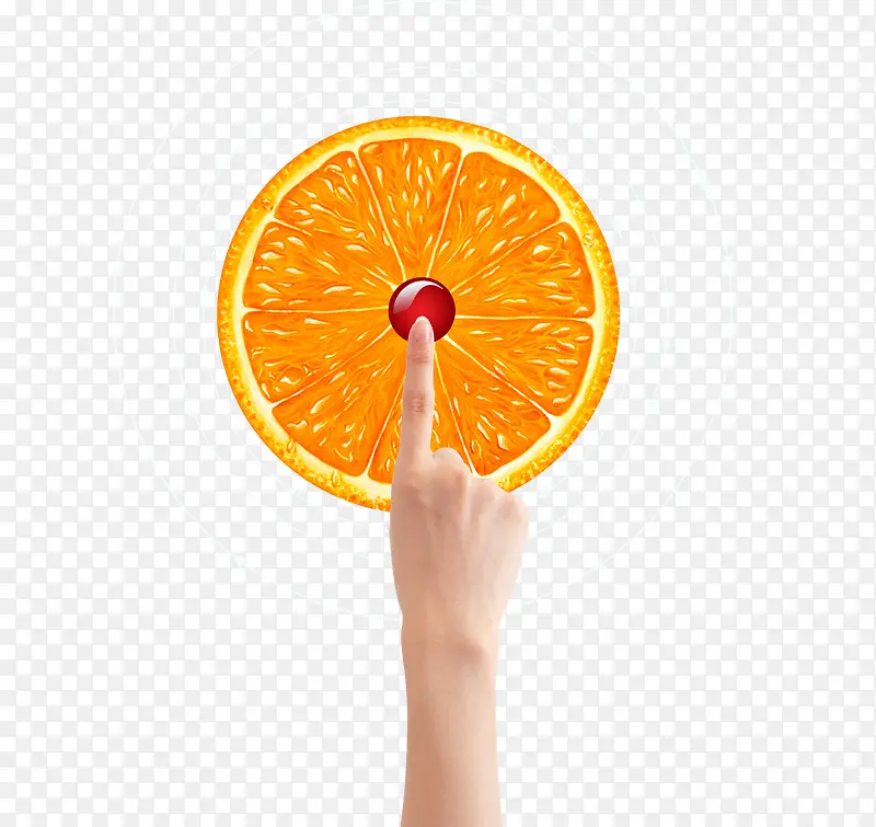 ��ָ����-������