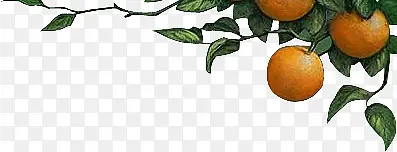 ����ˮ��-������