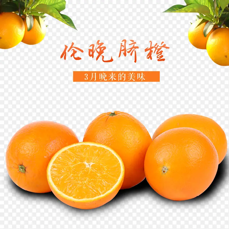 ��Ʒʵ����ȳ���-������