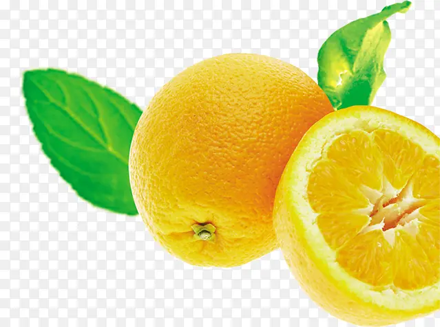 �����ɫ�������-������