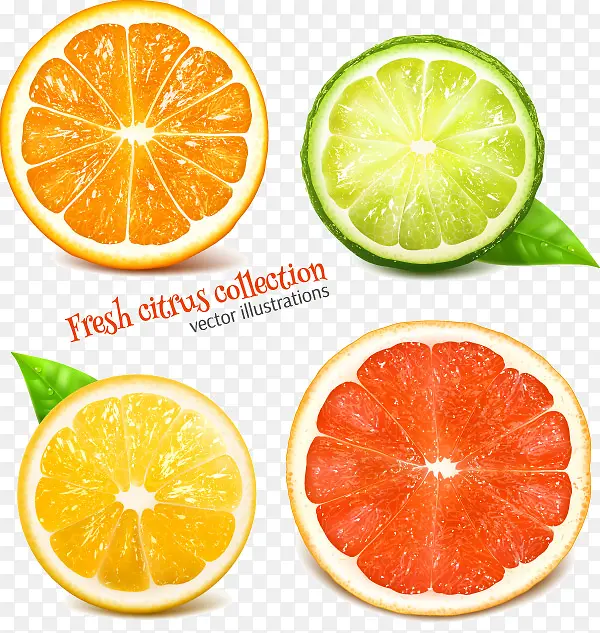 �����ز�-������