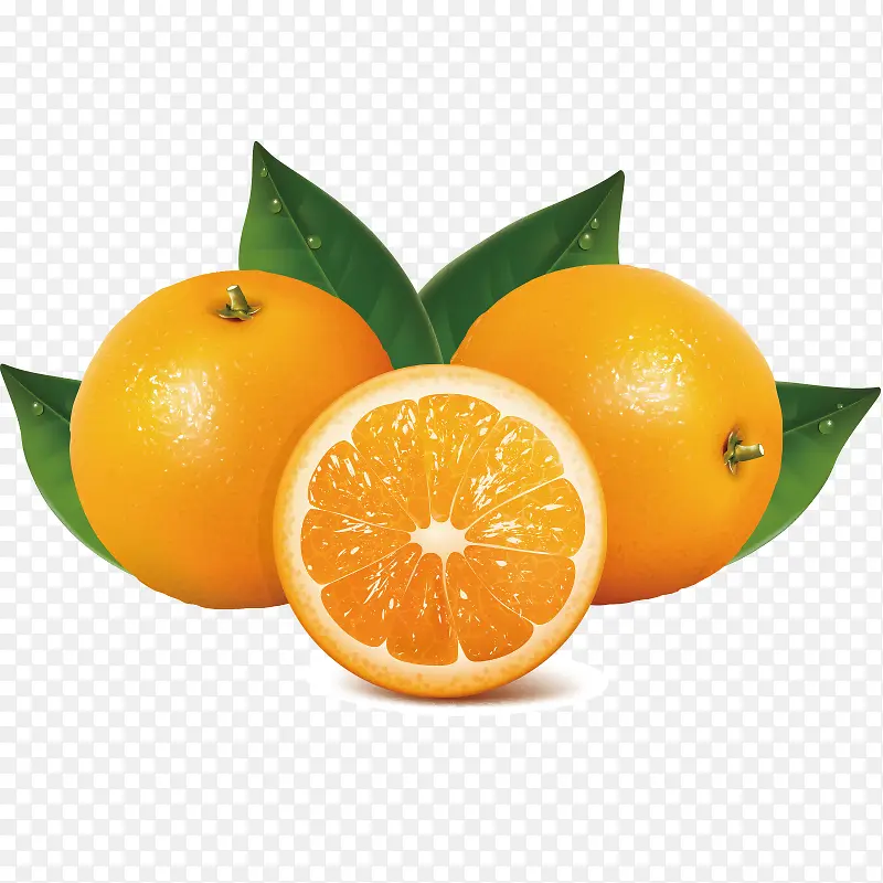 �߲� �߹� �Ϲ� ʳ�� ˮ��-������