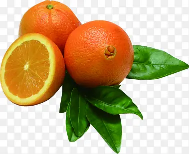 ���ʳ����߲�ˮ��-������