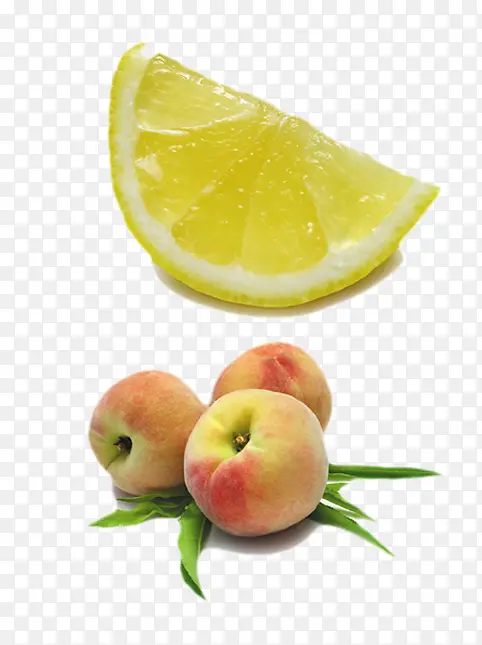 ˮ��ʳ��-������