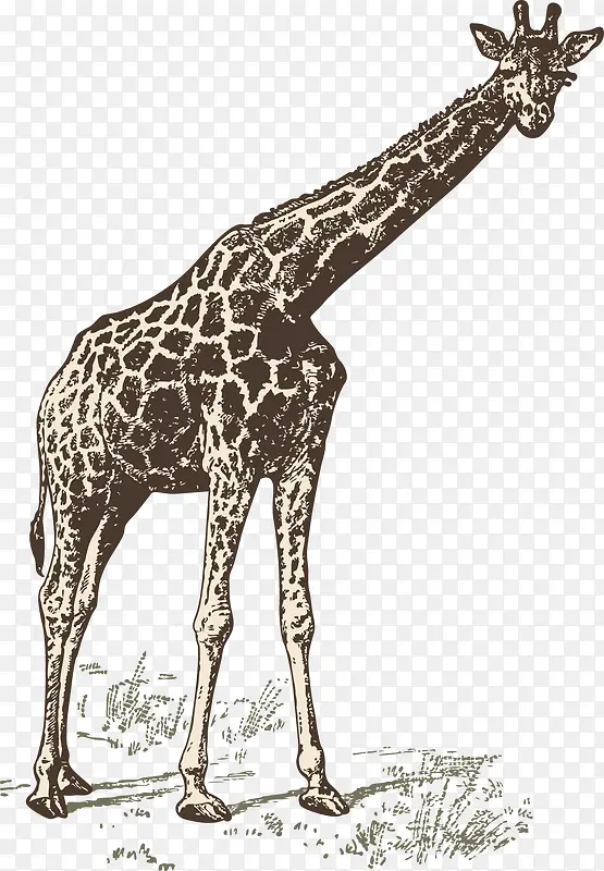 ����¹-������