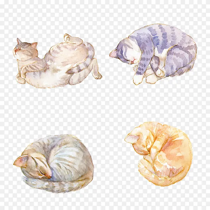 �ֻ�Сè-������