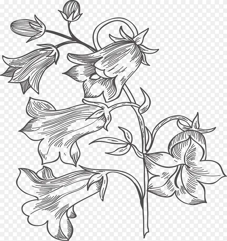 �ֻ�ֲ��-������