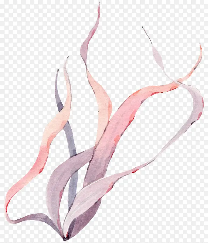 �ֻ�ֲ��-������