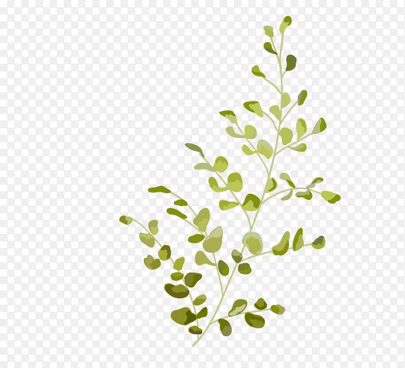 �ֻ�Ҷ��-������