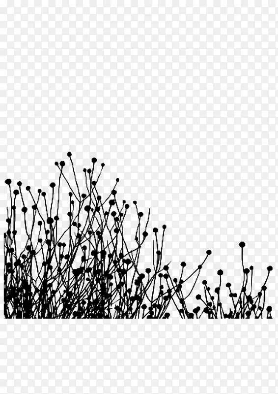 �滭ֲ�� �� �ڰ�-������