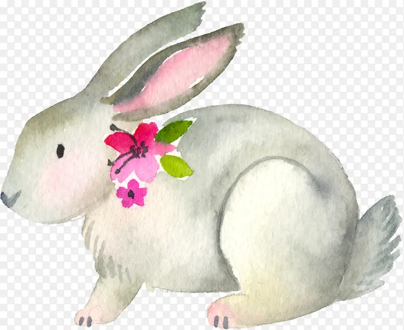 �ֻ�����-������