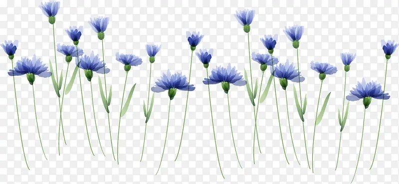 �ֻ�ֲ��-������