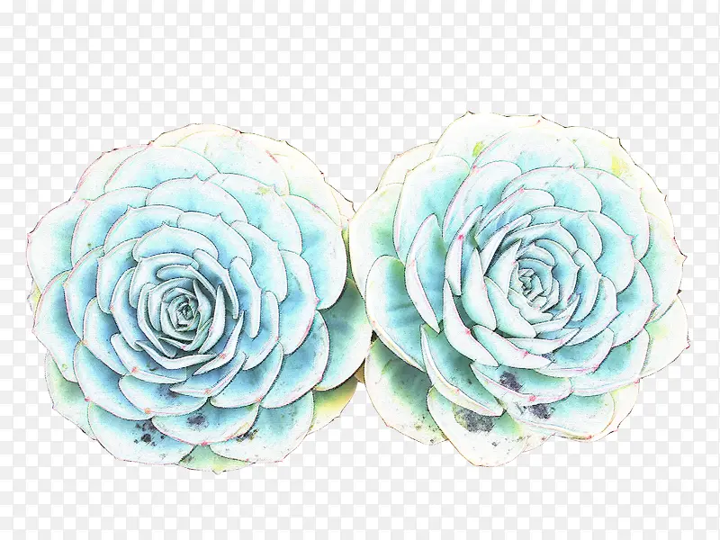 �ֻ滨��-������