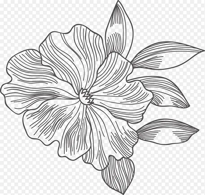 �ֻ�ֲ��-������