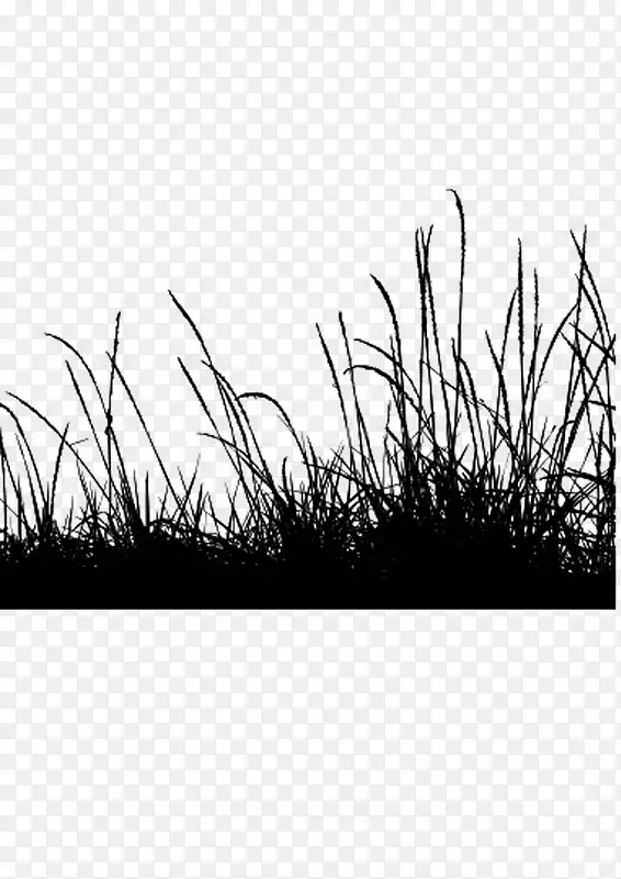 �滭ֲ�� �� �ڰ�-������