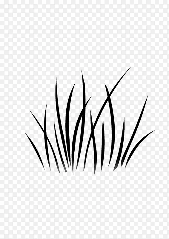 �滭ֲ�� С��  �ڰ�-������