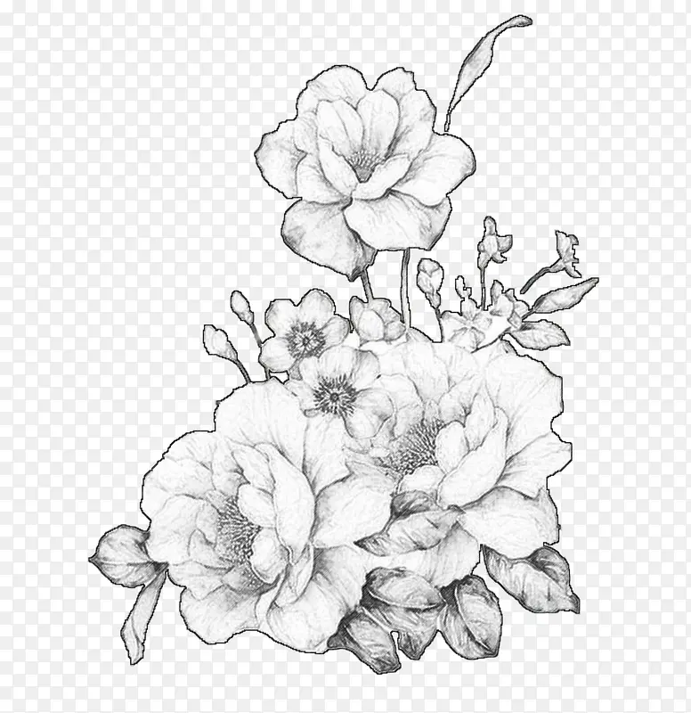 �ֻ�ֲ��-������