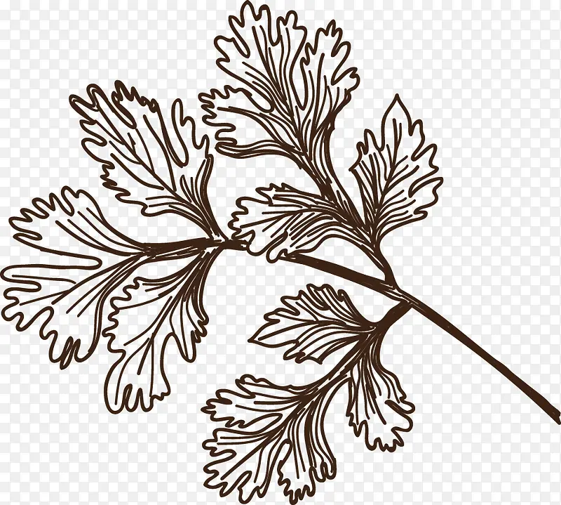 �ֻ�Ҷ��-������