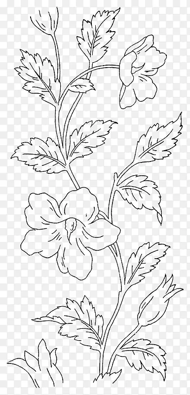 �ֻ�ֲ��-������