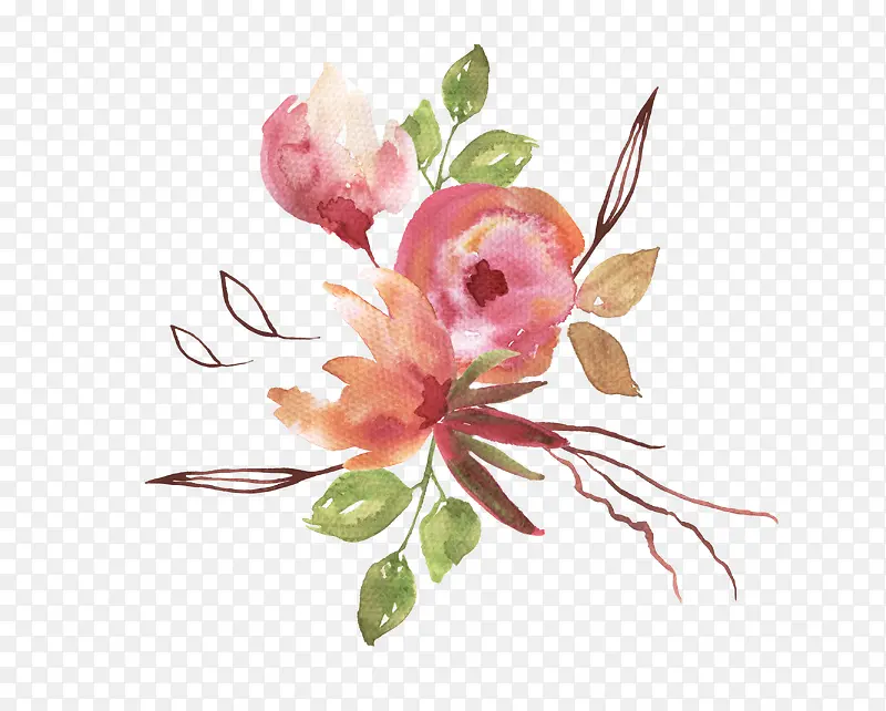 �ֻ�ֲ��-������